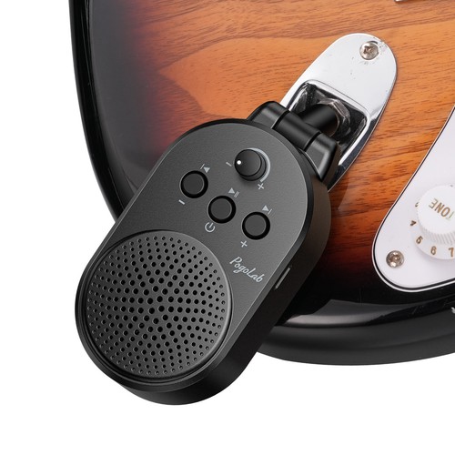 Pogolab mini guitar amp - 5w,